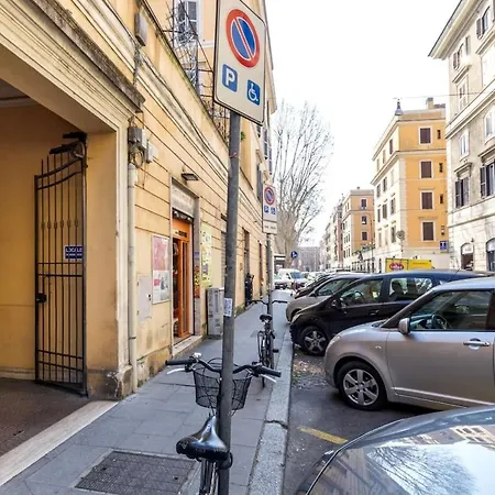 The Chihuahua * Roma
